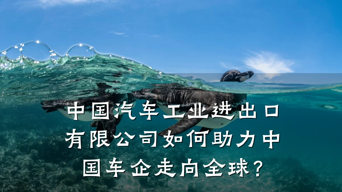 中国汽车工业进出口有限公司如何助力中国车企走向全球?