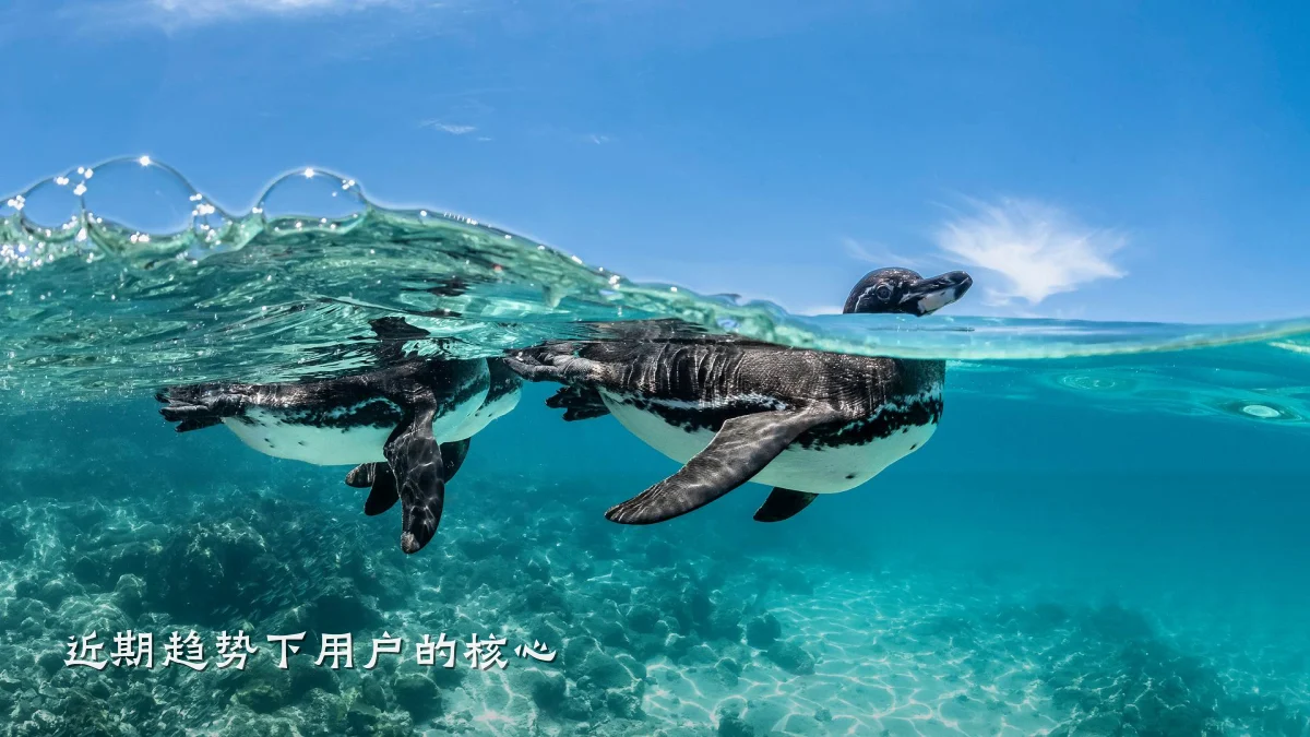 近期趋势下用户的核心