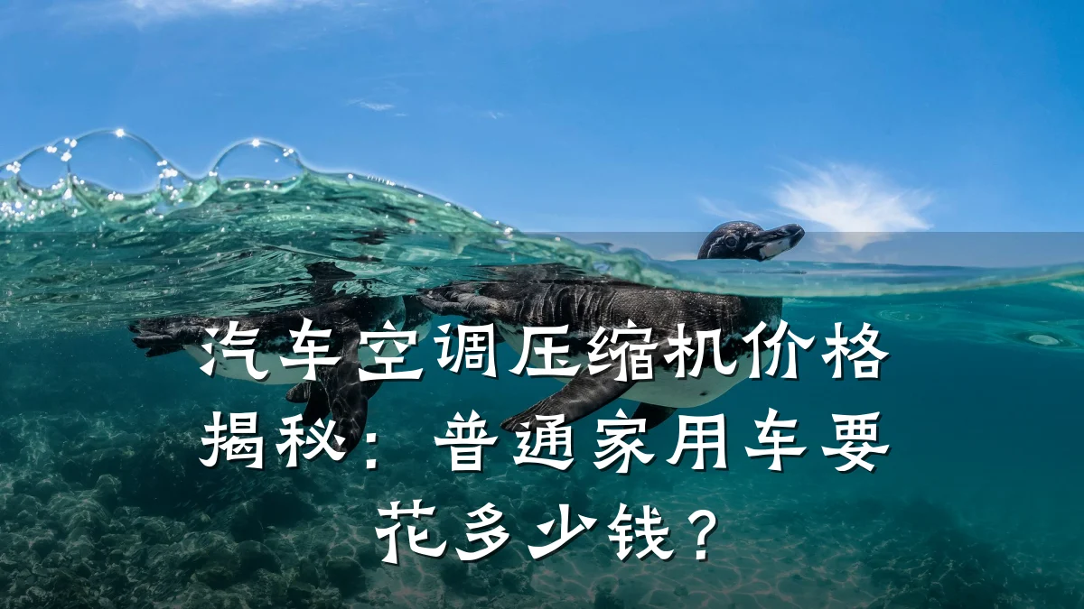 汽车空调压缩机价格揭秘：普通家用车要花多少钱？