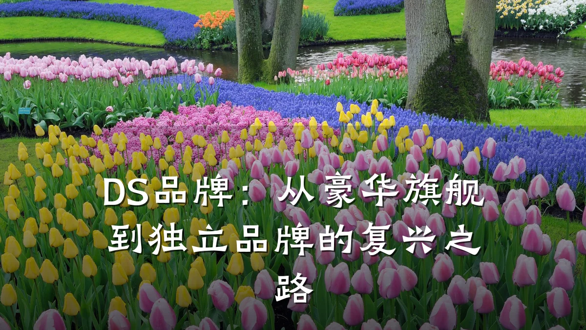DS品牌:从豪华旗舰到独立品牌的复兴之路