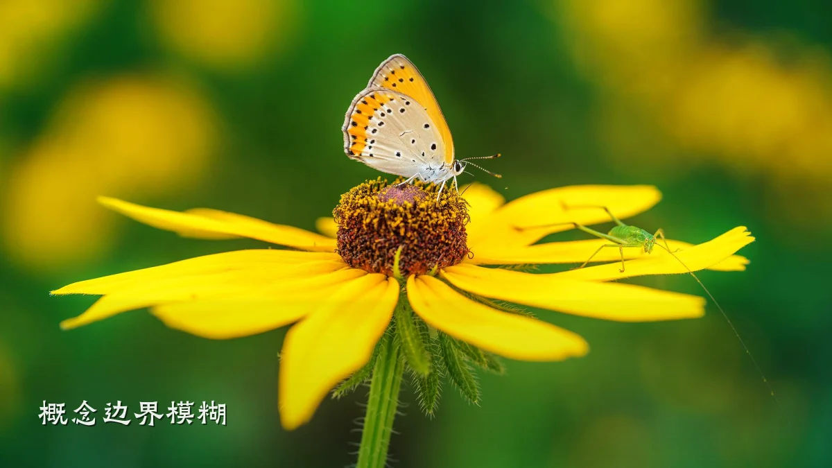 概念边界模糊