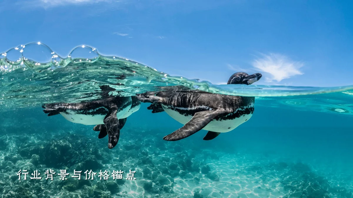 行业背景与价格锚点