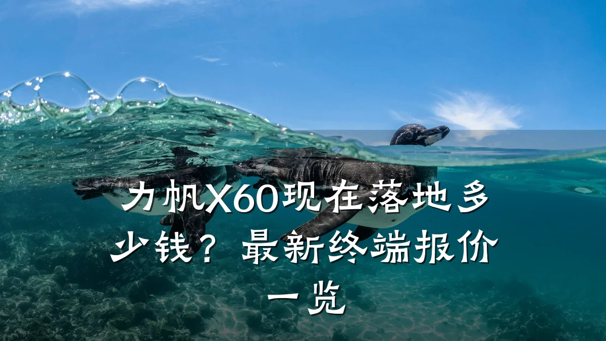 力帆X60现在落地多少钱?最新终端报价一览