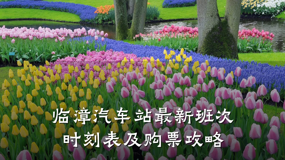 临漳汽车站最新班次时刻表及购票攻略
