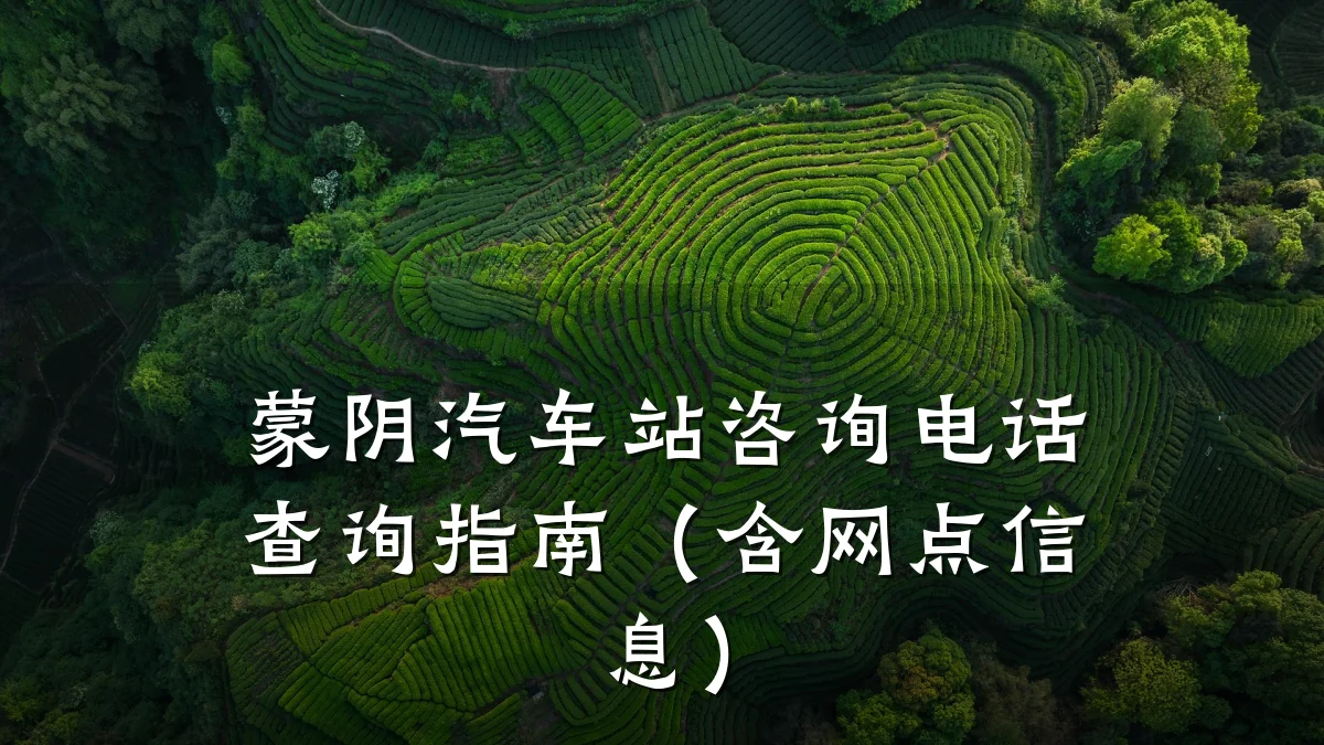 蒙阴汽车站咨询电话查询指南（含网点信息）