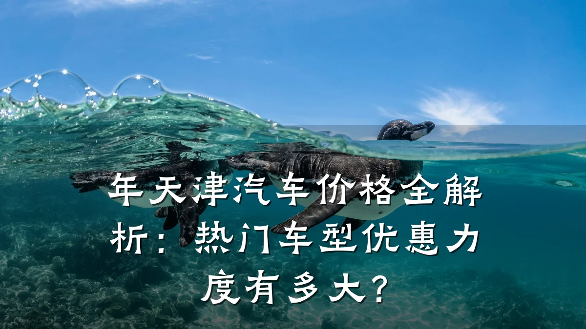 年天津汽车价格全解析：热门车型优惠力度有多大？