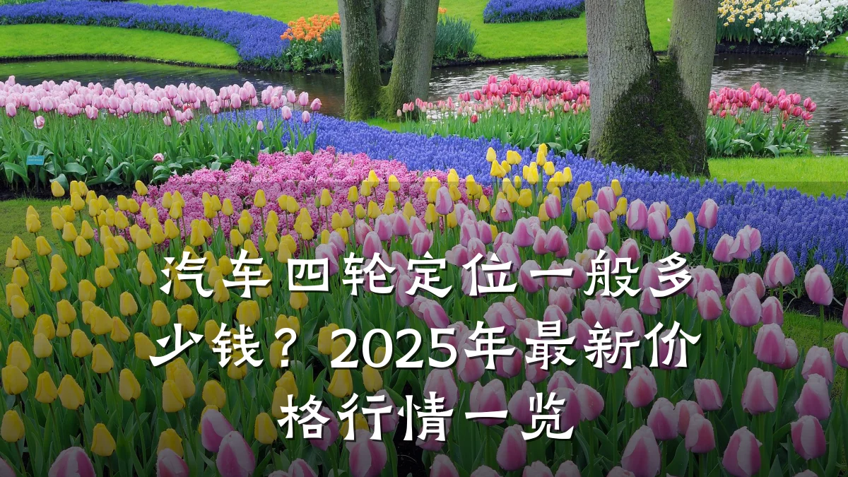 汽车四轮定位一般多少钱?2025年最新价格行情一览