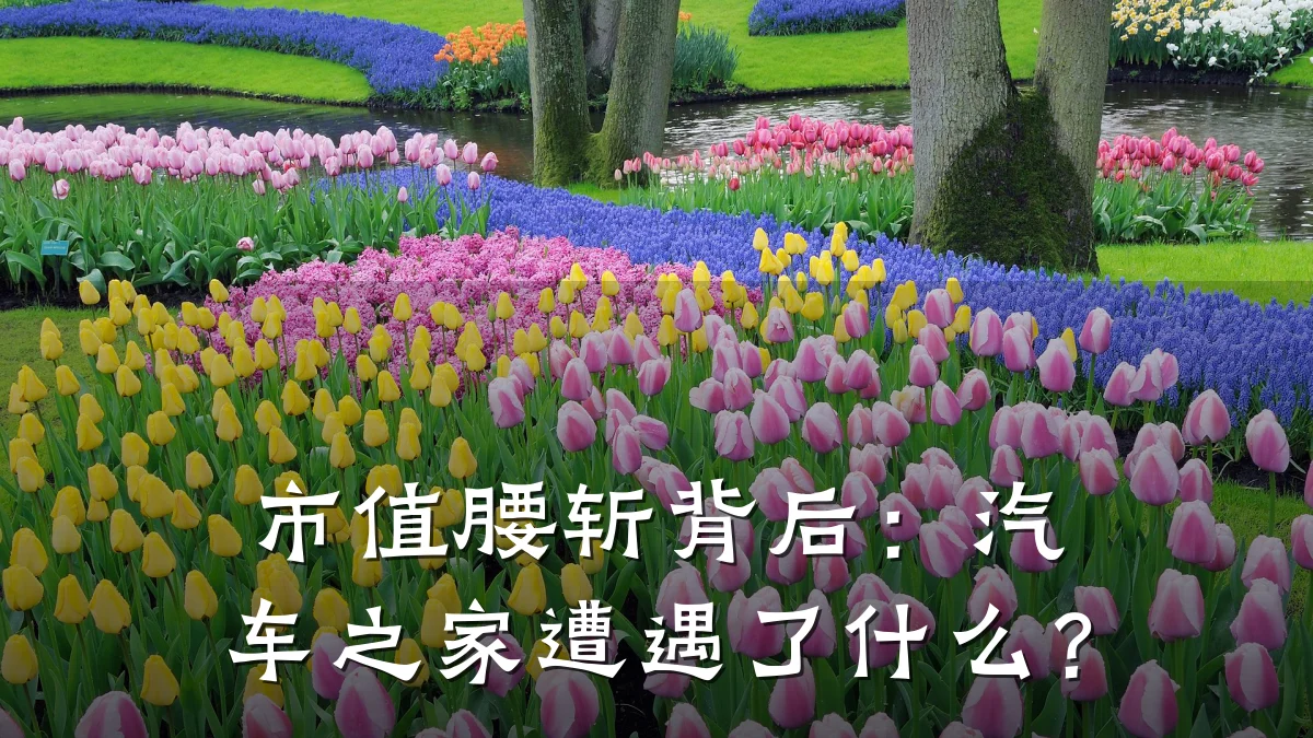 市值腰斩背后:汽车之家遭遇了什么?