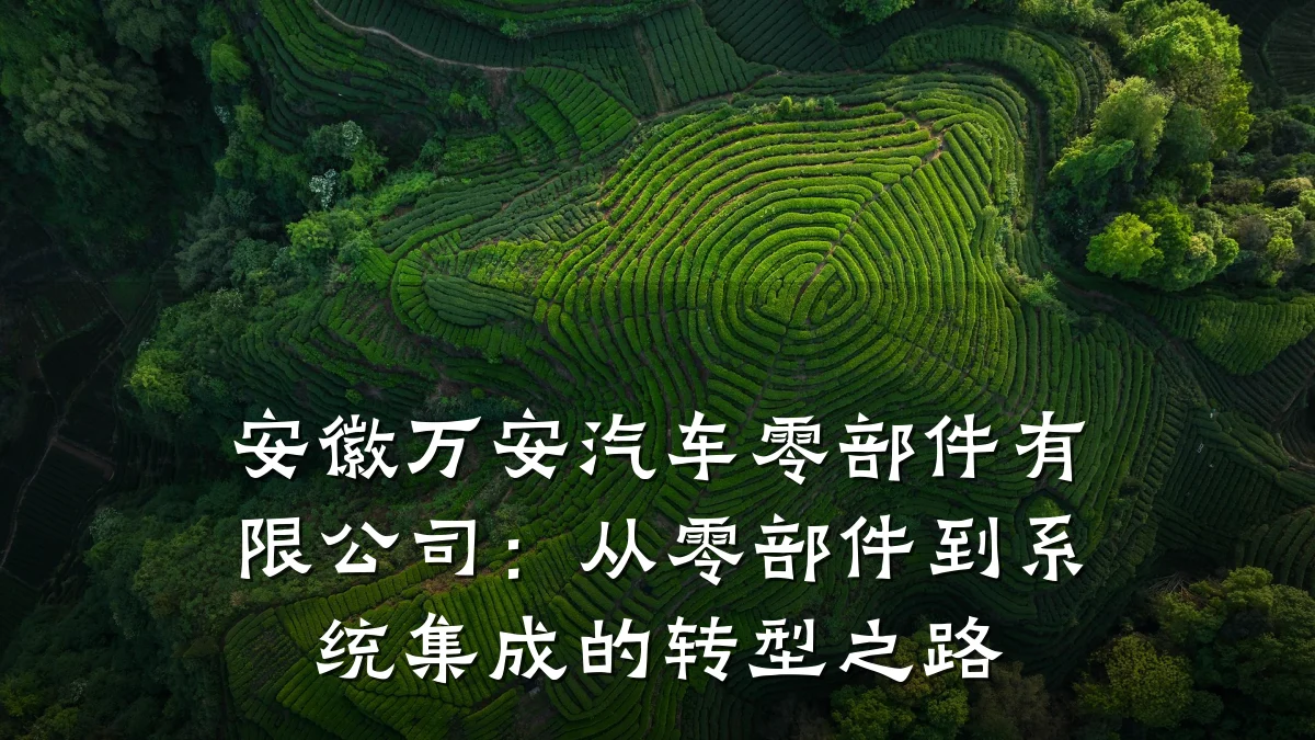 安徽万安汽车零部件有限公司:从零部件到系统集成的转型之路