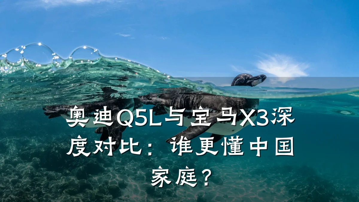 奥迪Q5L与宝马X3深度对比:谁更懂中国家庭?
