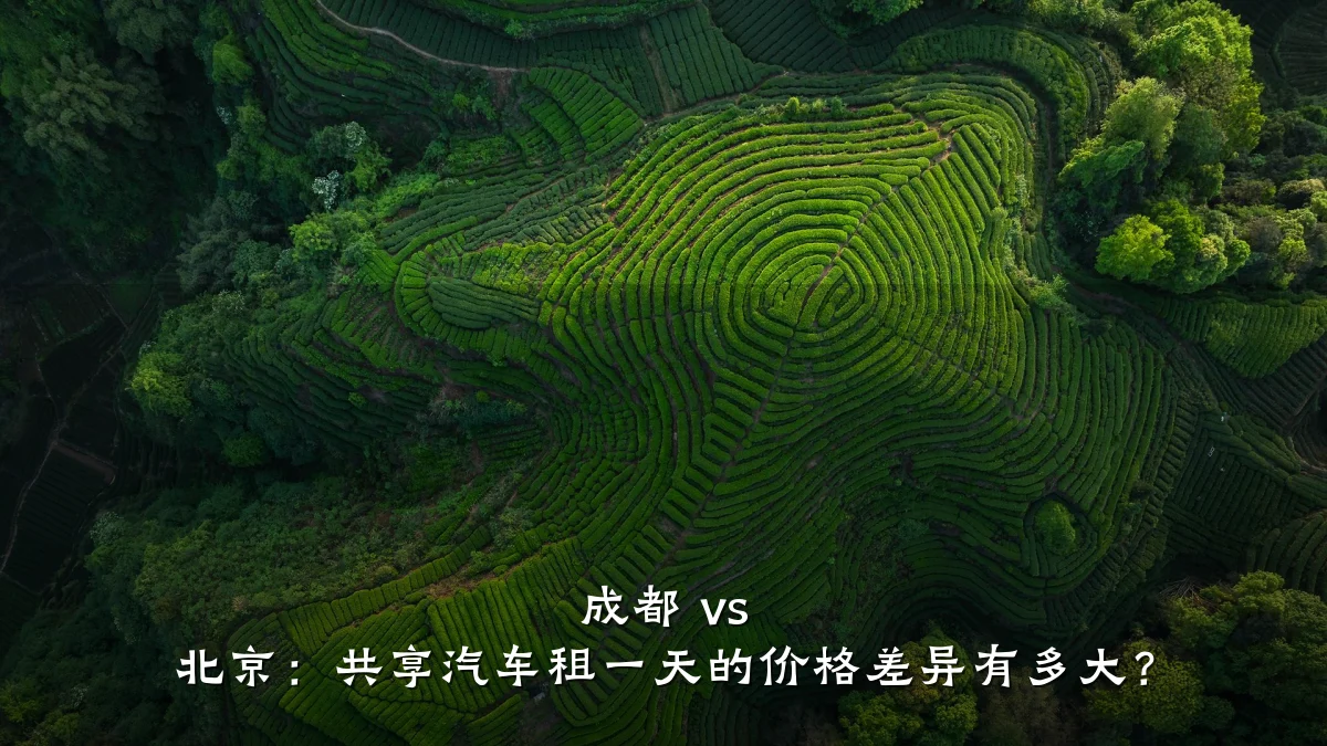 成都 vs 北京：共享汽车租一天的价格差异有多大？