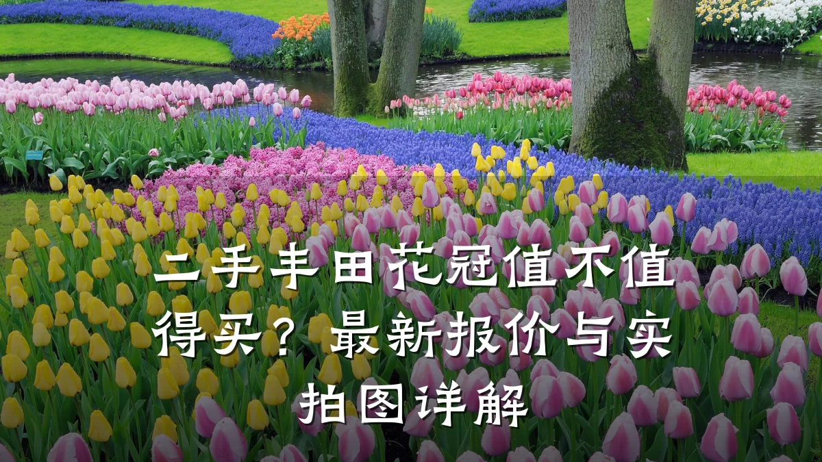 二手丰田花冠值不值得买?最新报价与实拍图详解