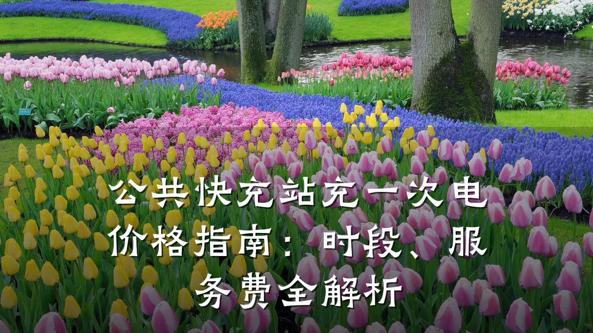 公共快充站充一次电价格指南:时段、服务费全解析