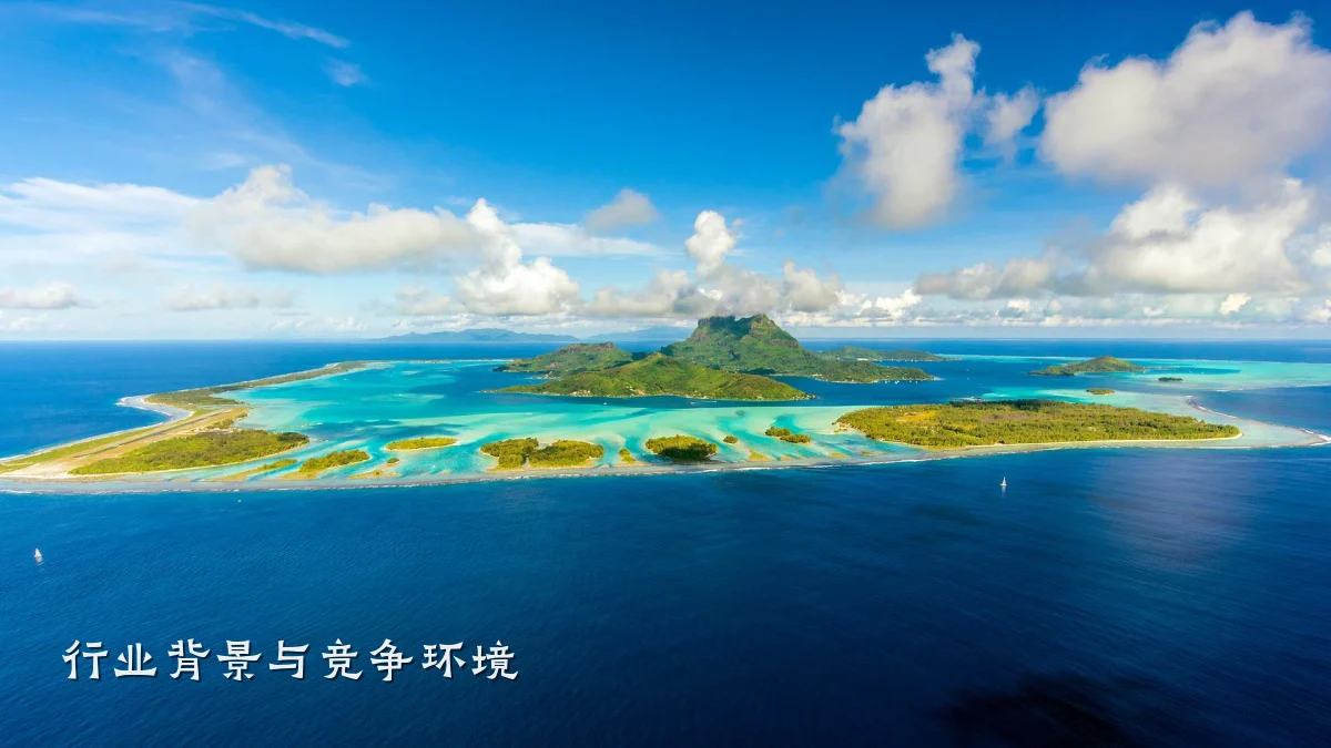 行业背景与竞争环境