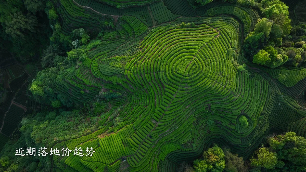 近期落地价趋势