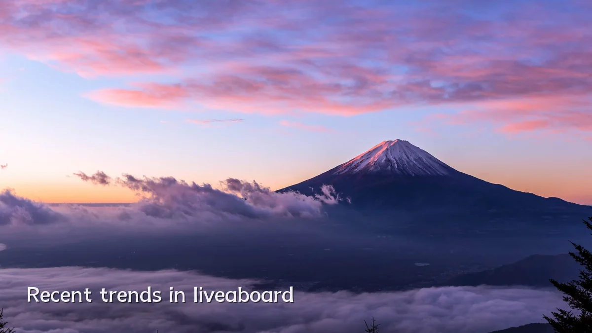 Recent trends in liveaboard
