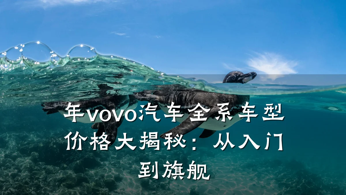 年vovo汽车全系车型价格大揭秘:从入门到旗舰