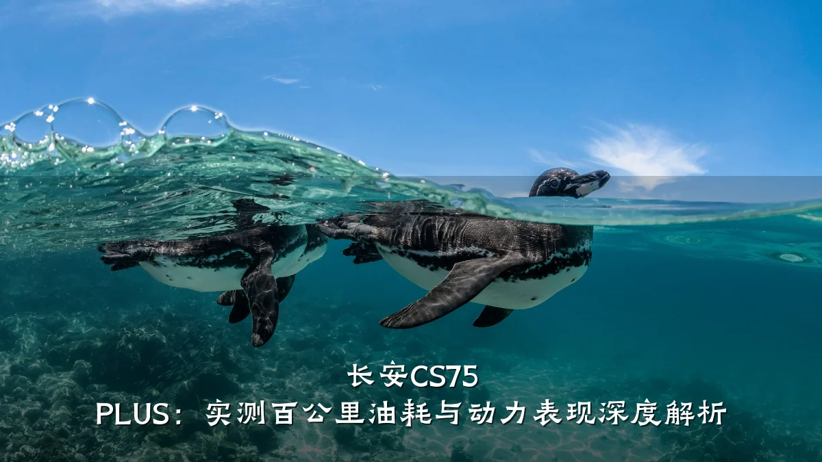 长安CS75 PLUS：实测百公里油耗与动力表现深度解析