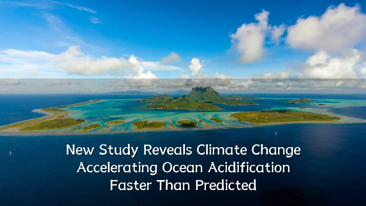 New Study Reveals Climate Change Accelerating Ocean Acidification Faster Than Predicted