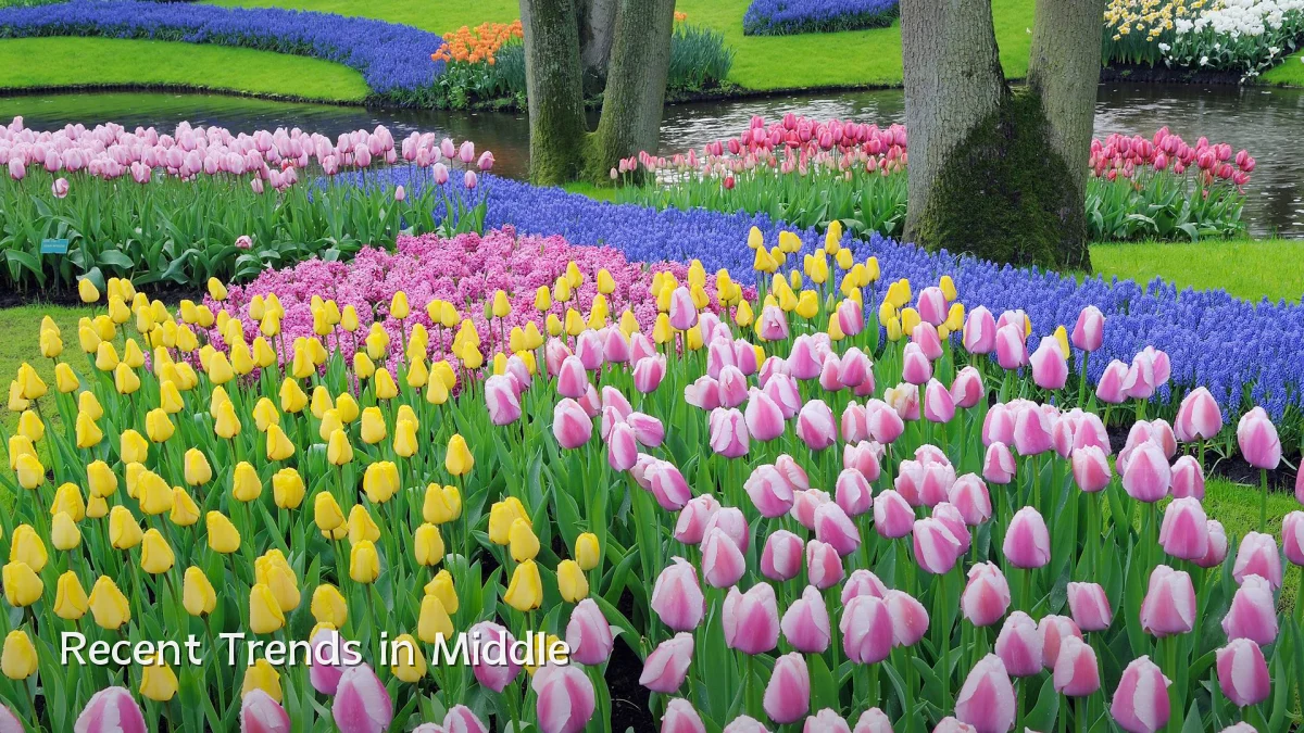 Recent Trends in Middle