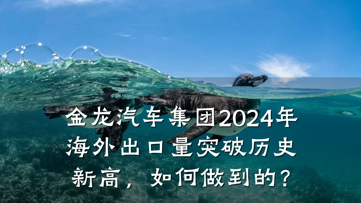 金龙汽车集团2024年海外出口量突破历史新高,如何做到的?