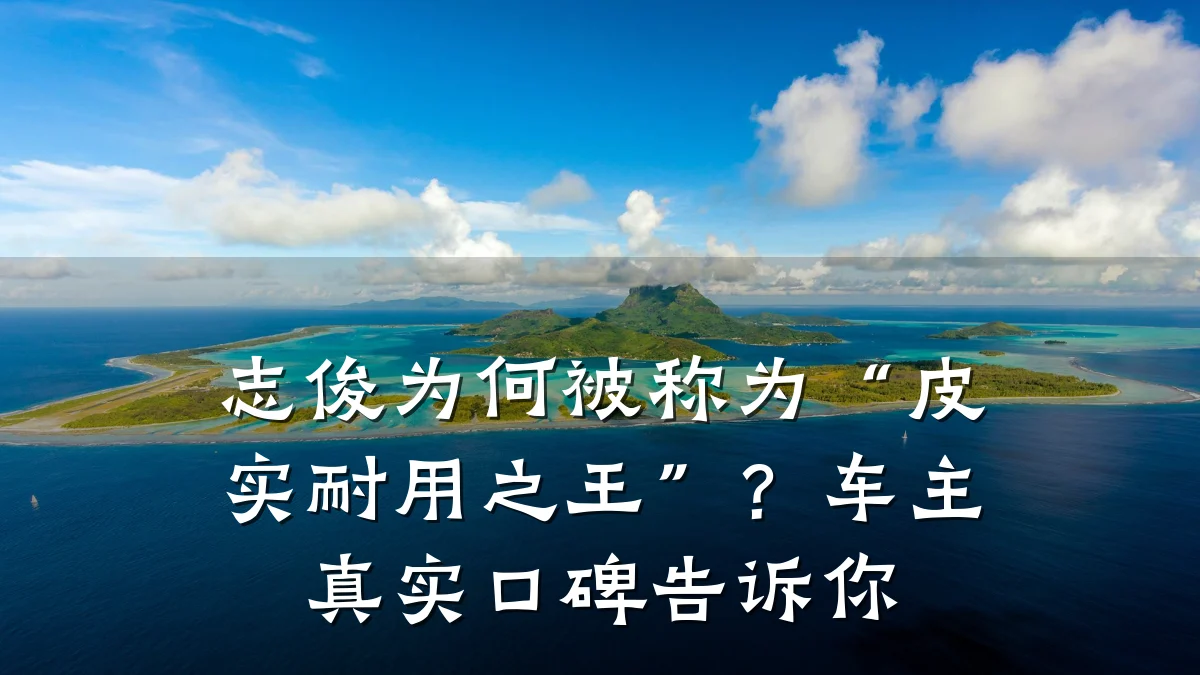 志俊为何被称为“皮实耐用之王”?车主真实口碑告诉你