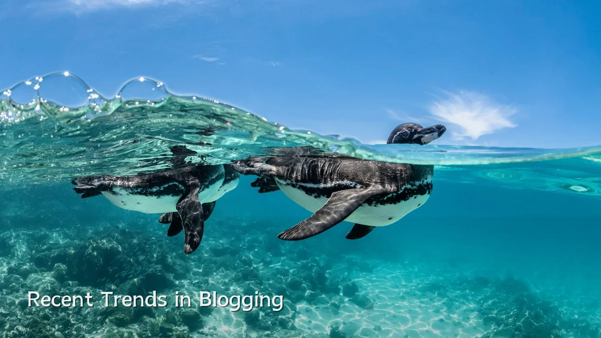 Recent Trends in Blogging