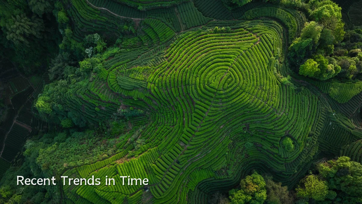 Recent Trends in Time