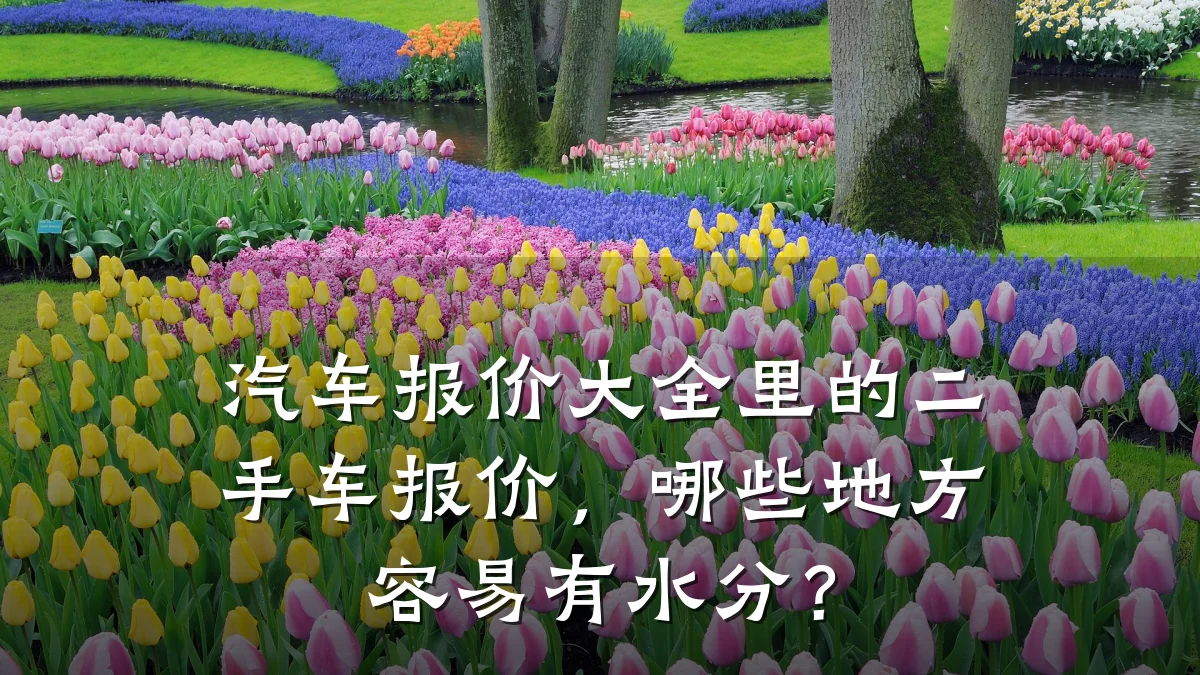 汽车报价大全里的二手车报价,哪些地方容易有水分?