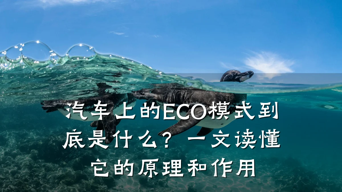 汽车上的ECO模式到底是什么?一文读懂它的原理和作用