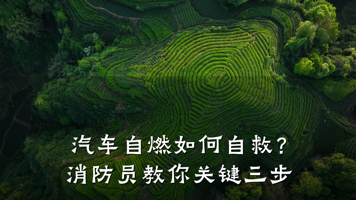 汽车自燃如何自救?消防员教你关键三步