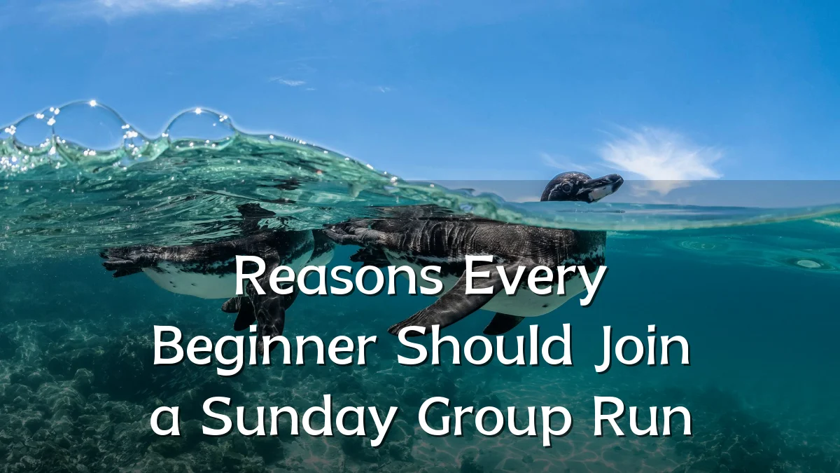Reasons Every Beginner Should Join a Sunday Group Run