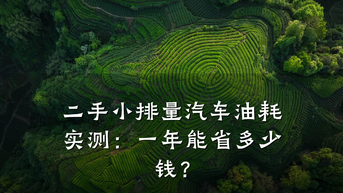 二手小排量汽车油耗实测:一年能省多少钱?