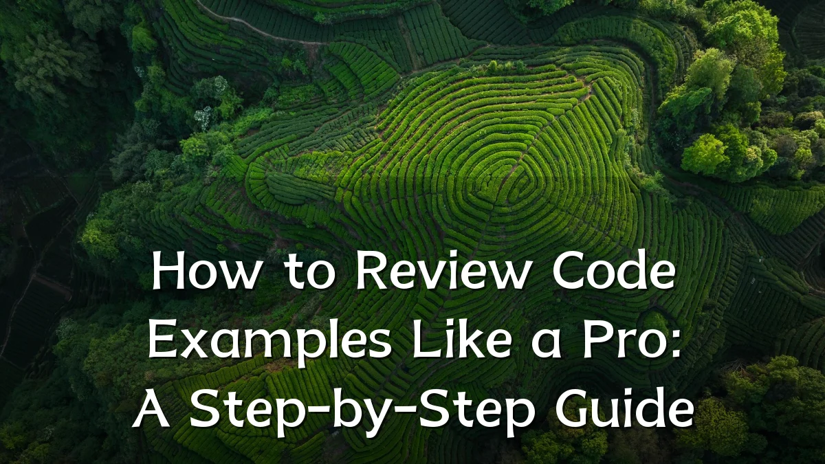 How to Review Code Examples Like a Pro: A Step-by-Step Guide