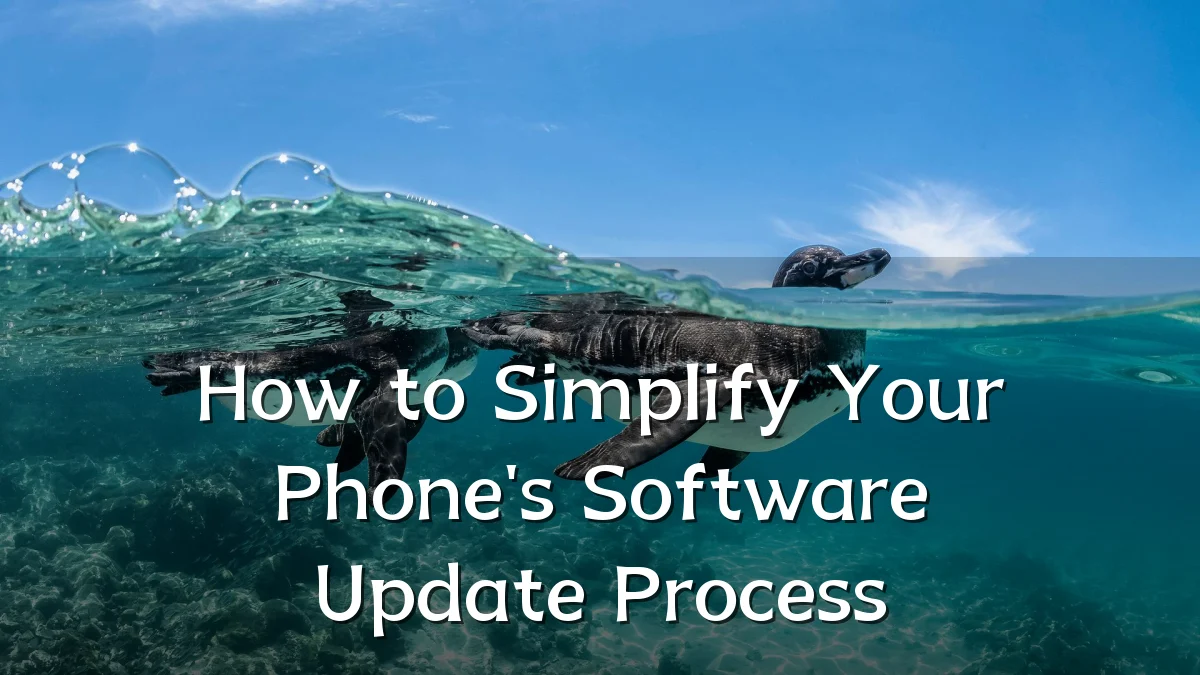 How to Simplify Your Phone's Software Update Process