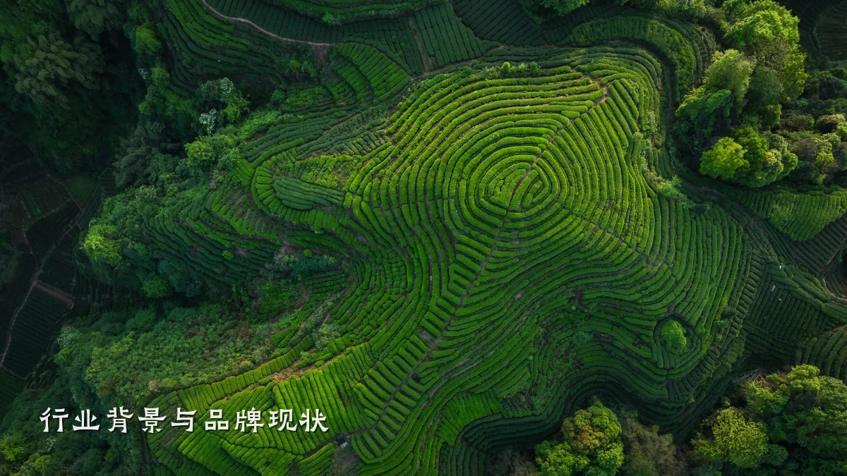 行业背景与品牌现状