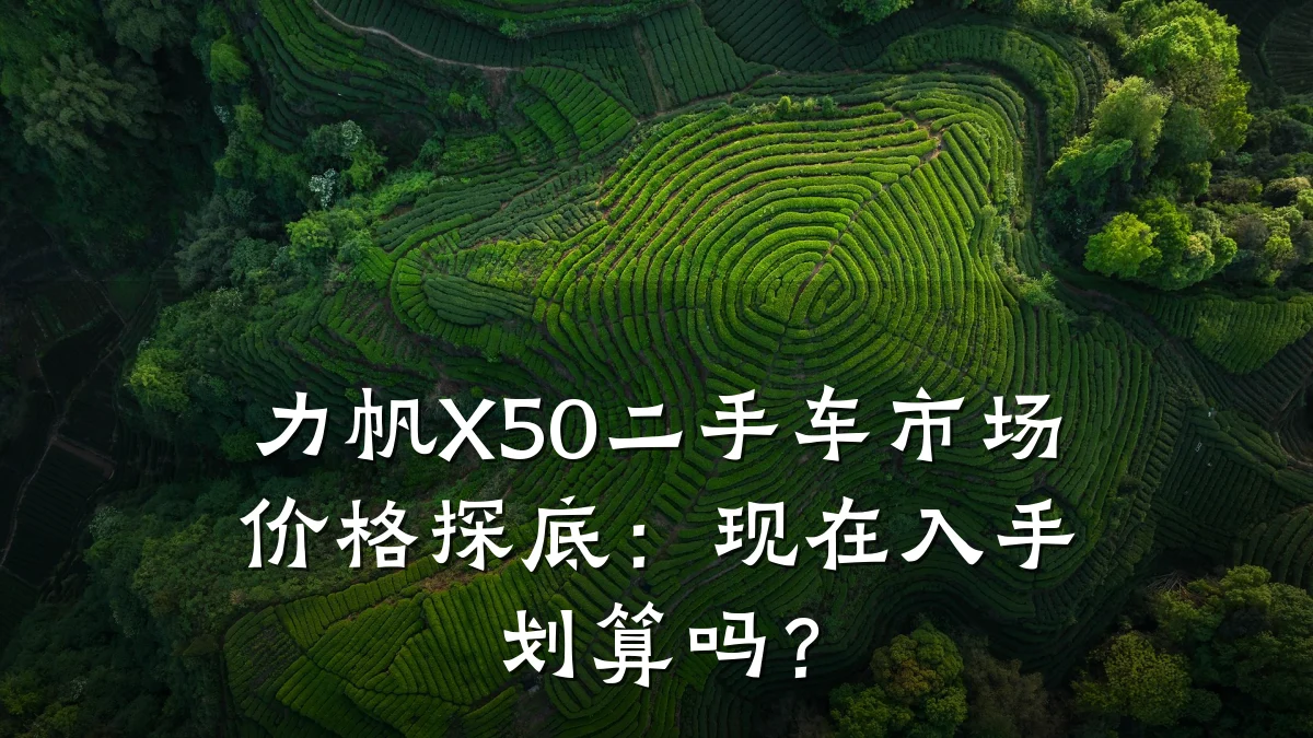 力帆X50二手车市场价格探底:现在入手划算吗?