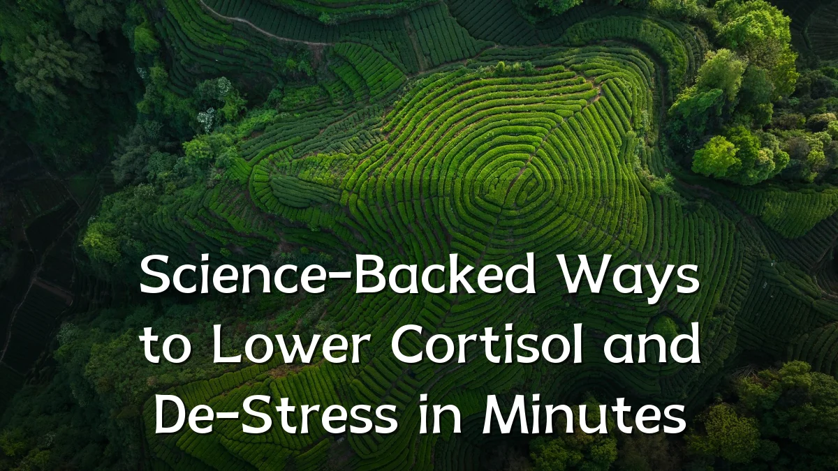 Science-Backed Ways to Lower Cortisol and De-Stress in Minutes