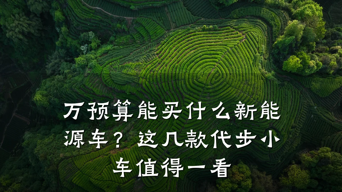 万预算能买什么新能源车?这几款代步小车值得一看