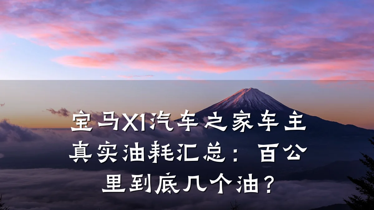 宝马X1汽车之家车主真实油耗汇总:百公里到底几个油?