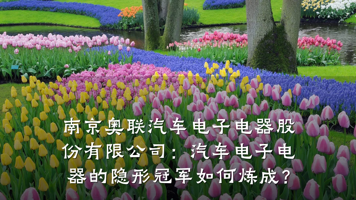 南京奥联汽车电子电器股份有限公司:汽车电子电器的隐形冠军如何炼成?