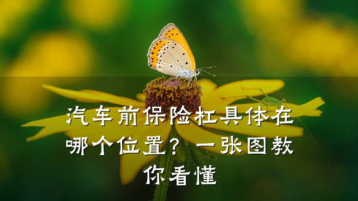 汽车前保险杠具体在哪个位置?一张图教你看懂