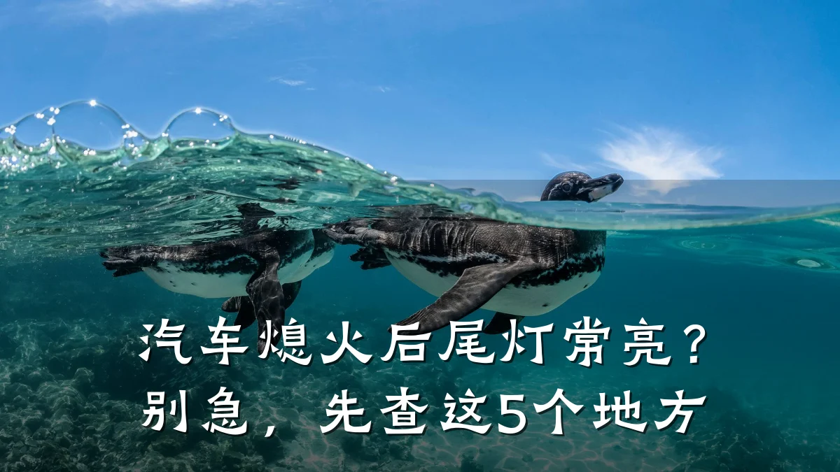 汽车熄火后尾灯常亮？别急，先查这5个地方