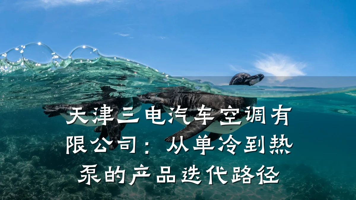 天津三电汽车空调有限公司：从单冷到热泵的产品迭代路径