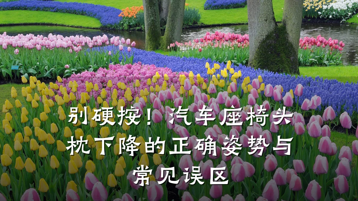 别硬按！汽车座椅头枕下降的正确姿势与常见误区