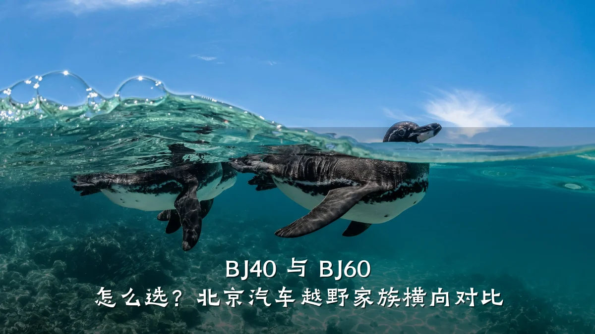BJ40 与 BJ60 怎么选？北京汽车越野家族横向对比
