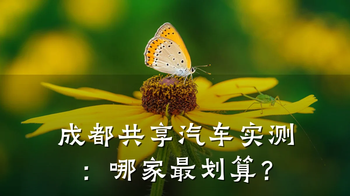 成都共享汽车实测:哪家最划算?