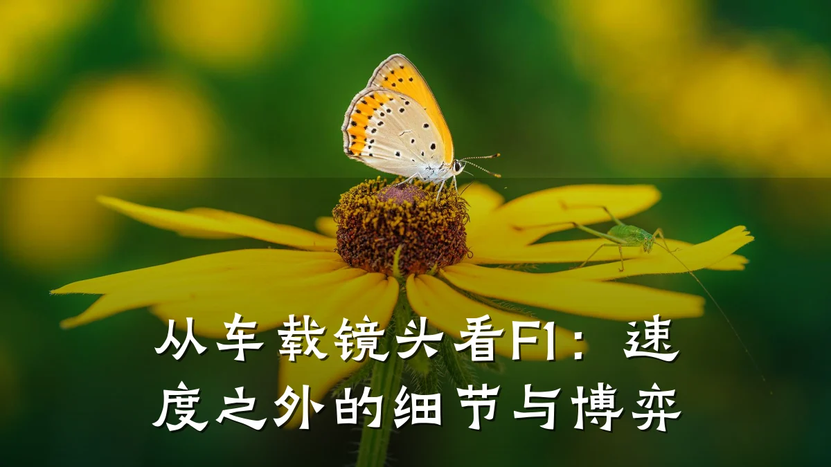 从车载镜头看F1:速度之外的细节与博弈