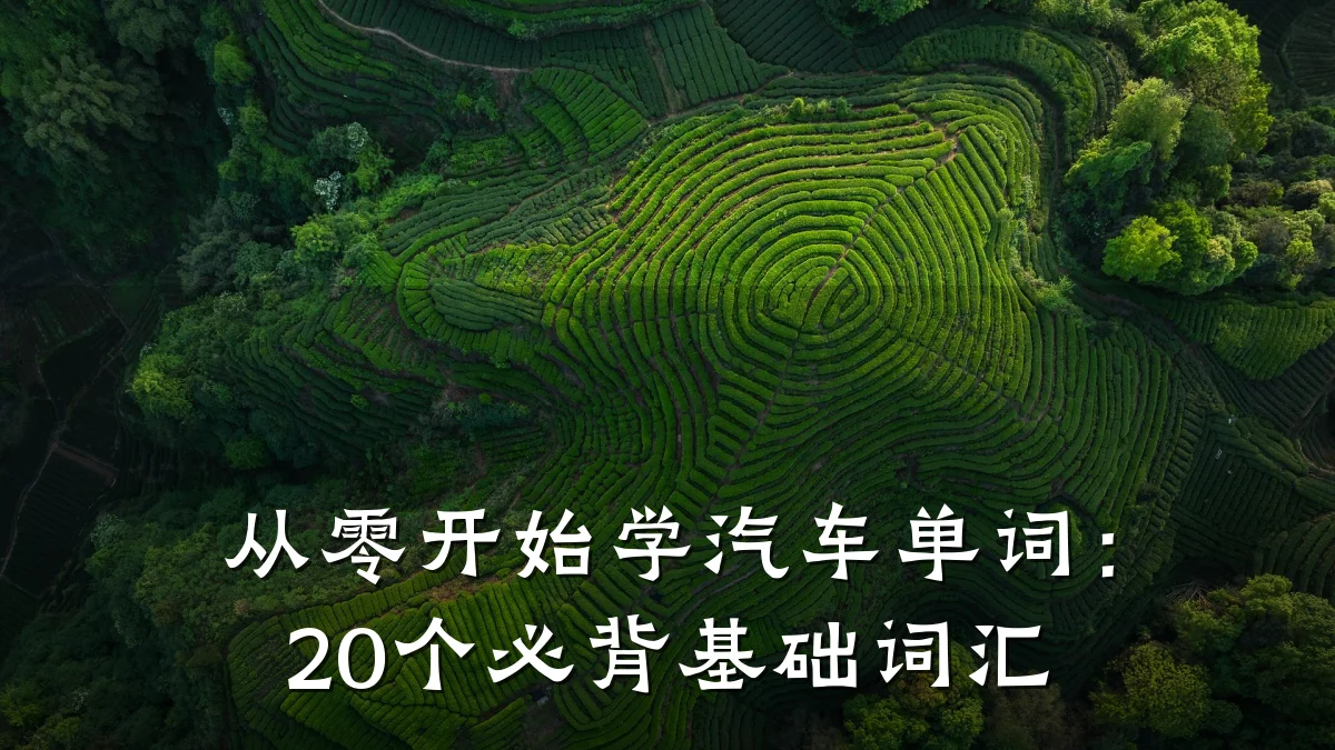 从零开始学汽车单词:20个必背基础词汇