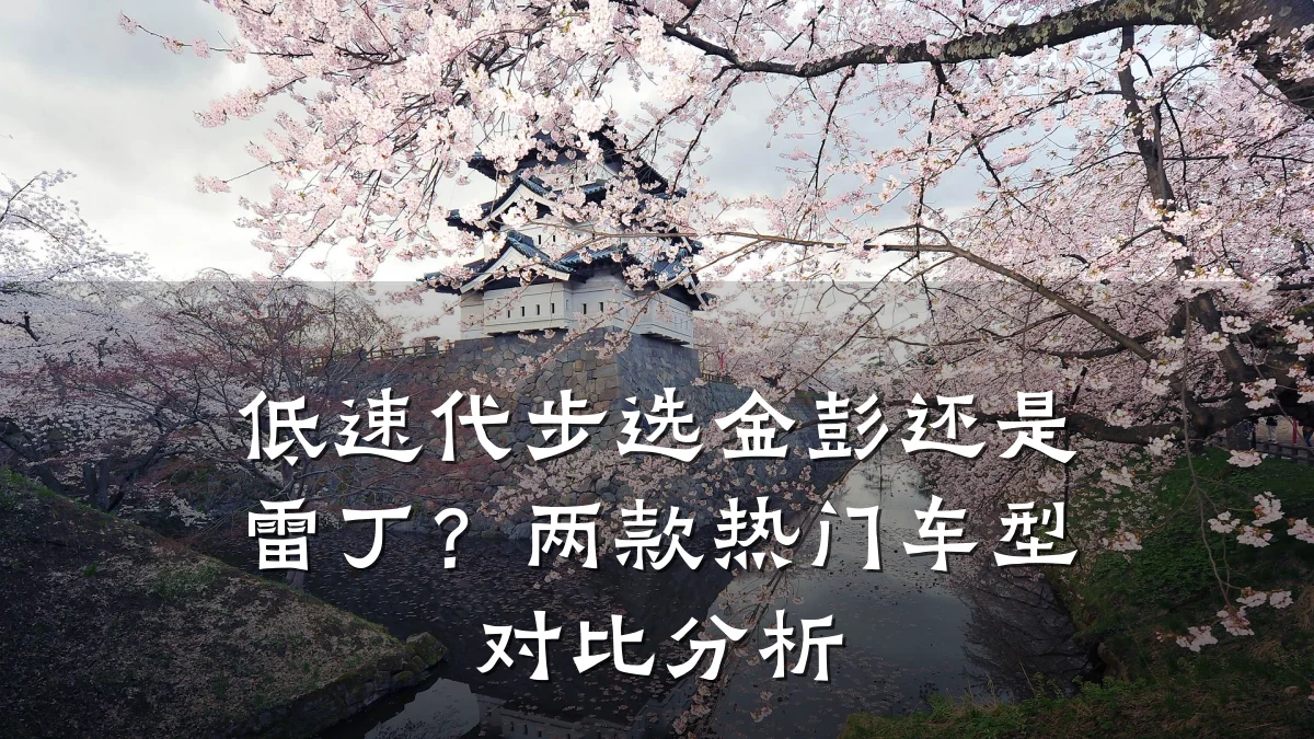 低速代步选金彭还是雷丁?两款热门车型对比分析